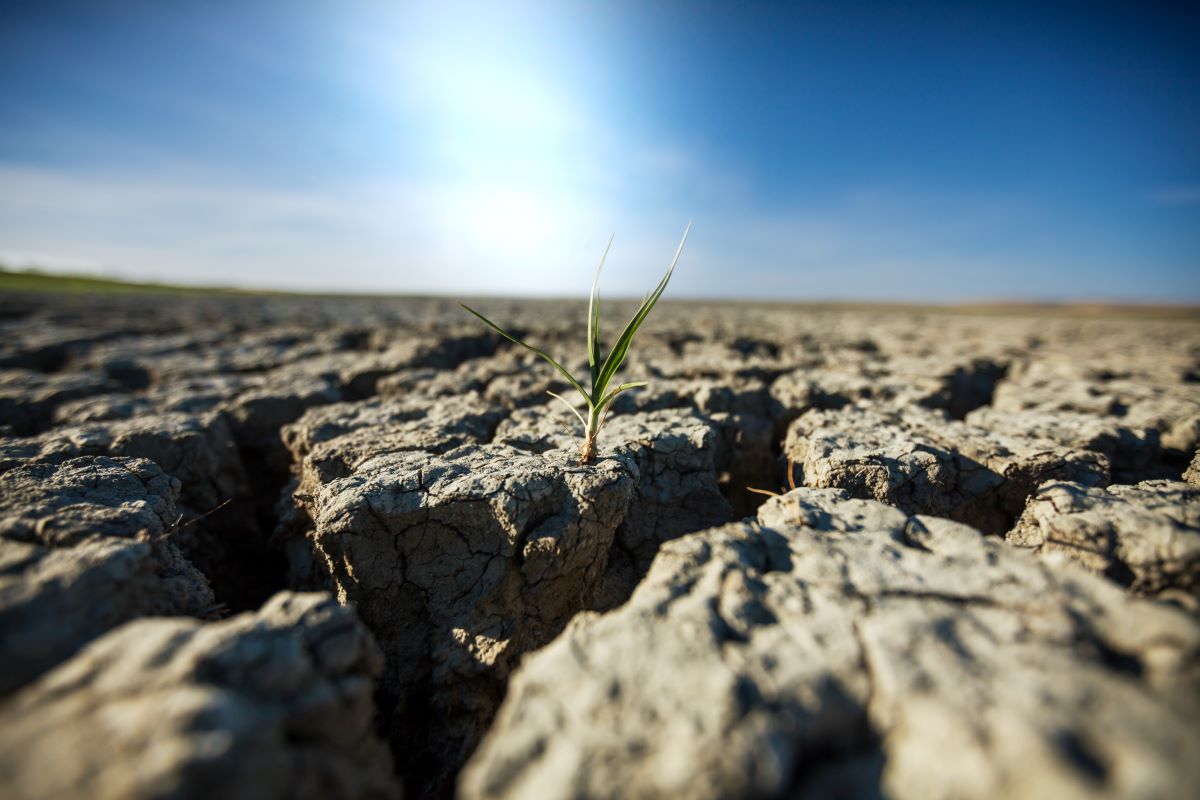 ECW GEO Andijk aardwarmte